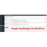 WordPress Google Tag Manager Plugin